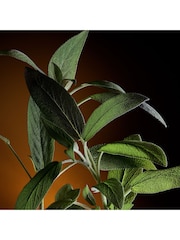 Dolce&Gabbana The One Pour Homme Eau De Parfum 100ml - Image 5 of 5