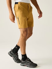 Regatta Brown Anti Insect Travel Light Shorts - Image 1 of 7