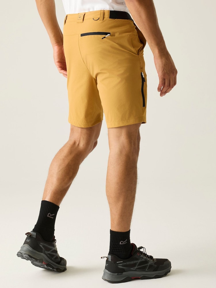 Regatta Brown Anti Insect Travel Light Shorts - Image 2 of 7