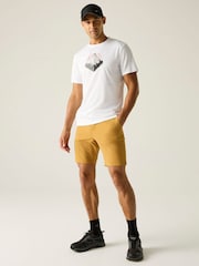 Regatta Brown Anti Insect Travel Light Shorts - Image 3 of 7