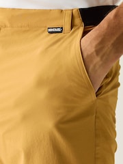 Regatta Brown Anti Insect Travel Light Shorts - Image 4 of 7