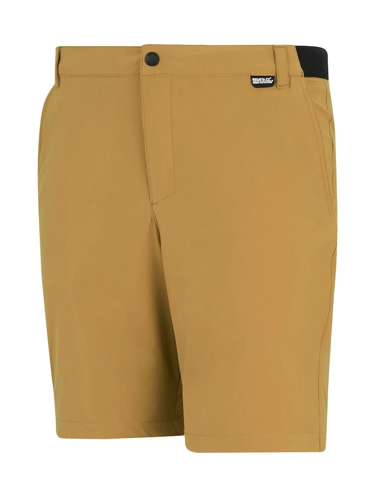 Regatta Brown Anti Insect Travel Light Shorts - Image 7 of 7
