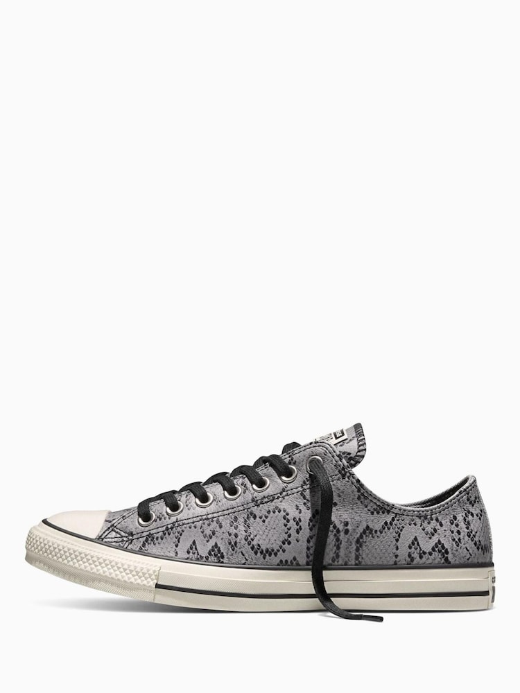 Converse Grey/White Chuck Taylor Animal Scale Low Trainers - Image 6 of 6 Converse Grey/White Chuck Taylor Animal Scale Low Trainers - Image 6 of 6