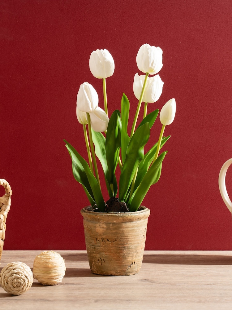 Scottish Everlastings Ltd:n keinotekoinen tulppaaniruukku - Kuva 1 / 4