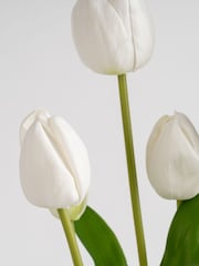 Scottish Everlastings Ltd:n keinotekoinen tulppaaniruukku - Kuva 3 / 4