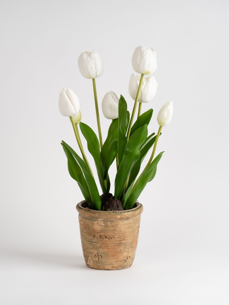 Scottish Everlastings Ltd:n keinotekoinen tulppaaniruukku - Kuva 4 / 4