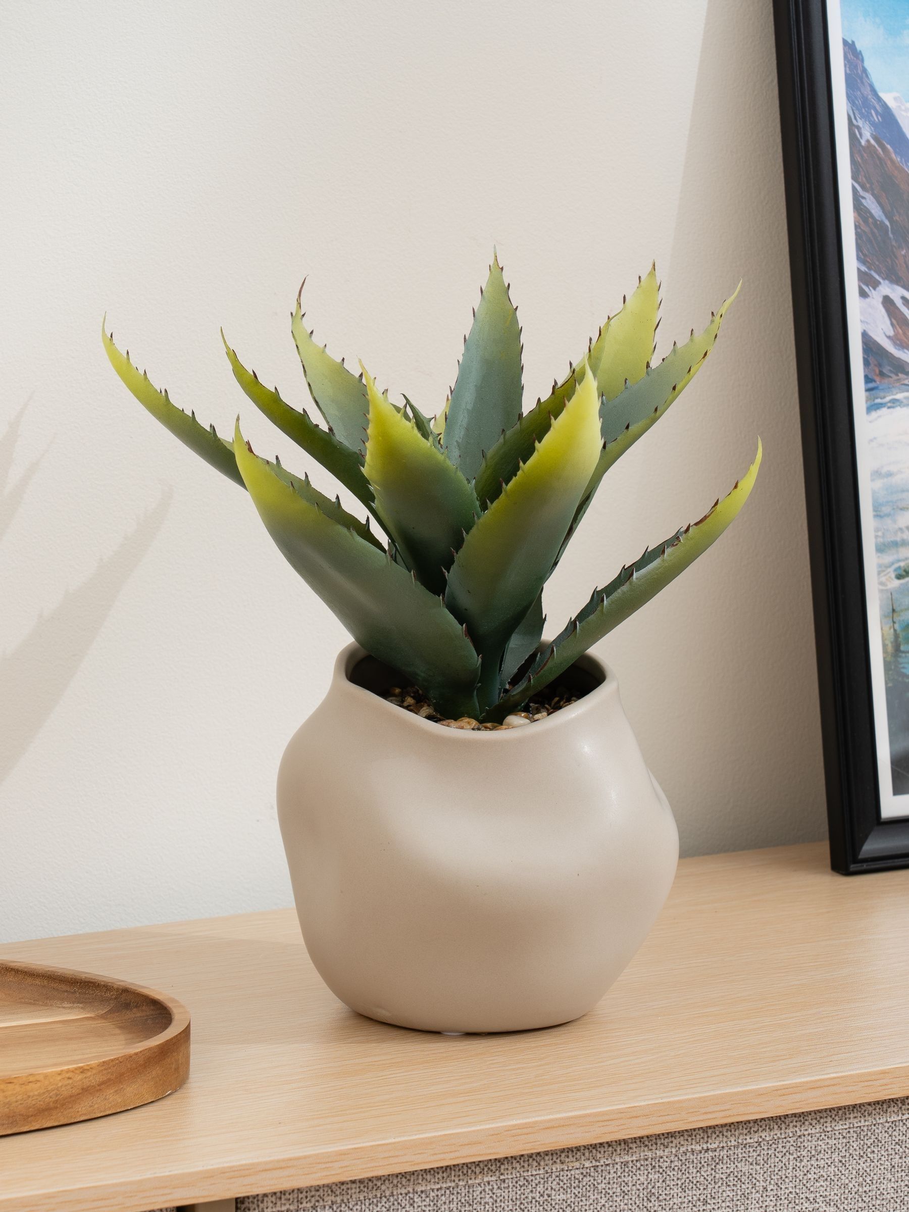 The Very Collection 30Cm Aloe Abstract Beige Ceramic Pot - Image 2
