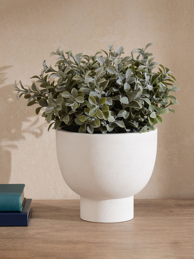 Scottish Everlastings Ltd Green Artificial Foliage in Footed Pot - Image 1 of 3 Scottish Everlastings Ltd Green Artificial Foliage in Footed Pot - Image 1 of 3