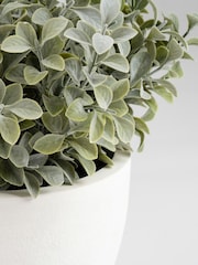 Scottish Everlastings Ltd Green Artificial Foliage in Footed Pot - Image 2 of 3