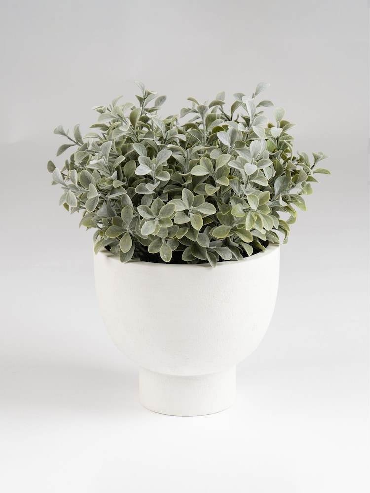 Scottish Everlastings Ltd Green Artificial Foliage in Footed Pot - Image 3 of 3 Scottish Everlastings Ltd Green Artificial Foliage in Footed Pot - Image 3 of 3