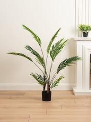Scottish Everlastings Ltd Green Artificial Real Touch Palm Tree - Image 1 of 3