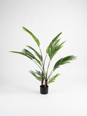 Scottish Everlastings Ltd Green Artificial Real Touch Palm Tree - Image 2 of 3
