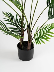 Scottish Everlastings Ltd Green Artificial Real Touch Palm Tree - Image 3 of 3