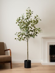 Scottish Everlastings Ltd Artificial Eucalyptus Tree - Imaginea 1 din 4