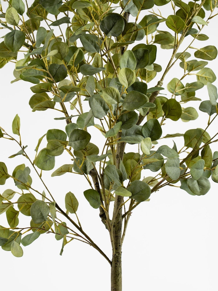 Scottish Everlastings Ltd Artificial Eucalyptus Tree - Imaginea 2 din 4