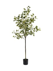 Scottish Everlastings Ltd Artificial Eucalyptus Tree - Imaginea 3 din 4