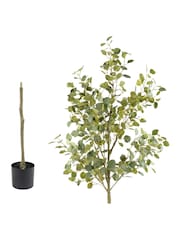 Scottish Everlastings Ltd Artificial Eucalyptus Tree - Imaginea 4 din 4