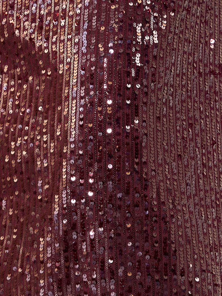Friends Like These Burgundy Red Curve Lace Detail Sequin Midi Dress - Image 6 of 6