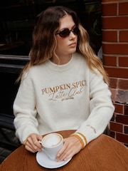 Ecru Pumpkin Spice Graphic - Long Sleeve Crew Neck Knitted Jumper - Bild 3 von 6