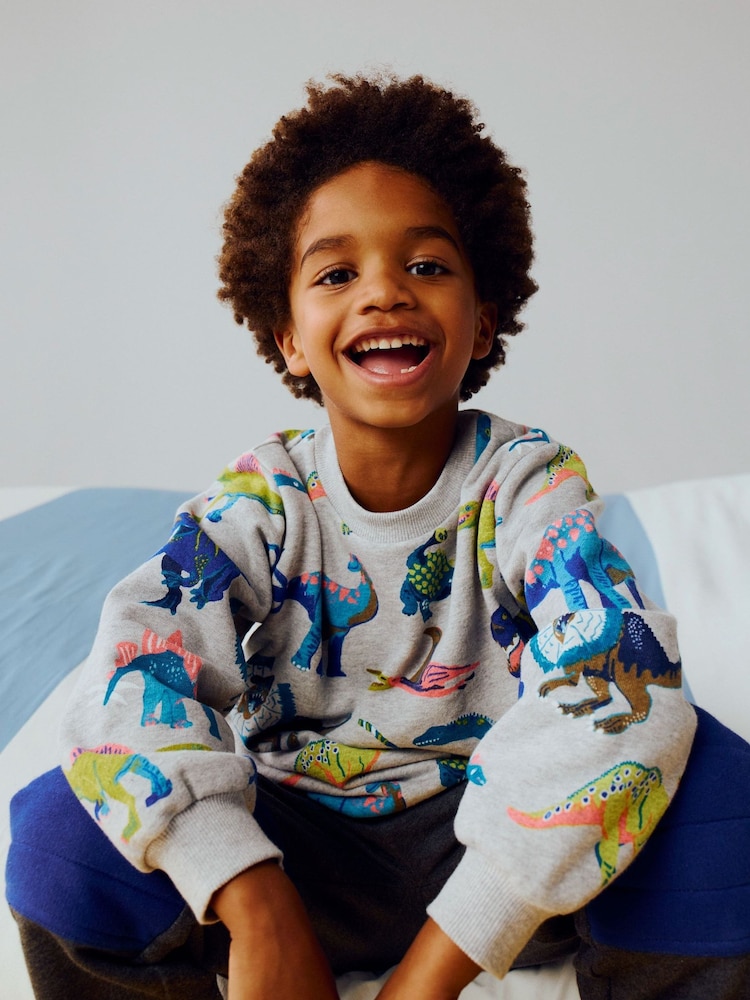 Boden Grey Dino Everyday Printed Sweatshirt - Image 1 of 4