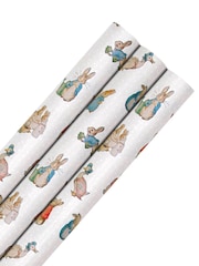 Hallmark 3 x 2m Peter Rabbit Wrapping Paper - Image 2 of 5
