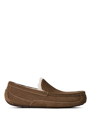 UGG Brown Ascot Slipper - Image 1 of 5