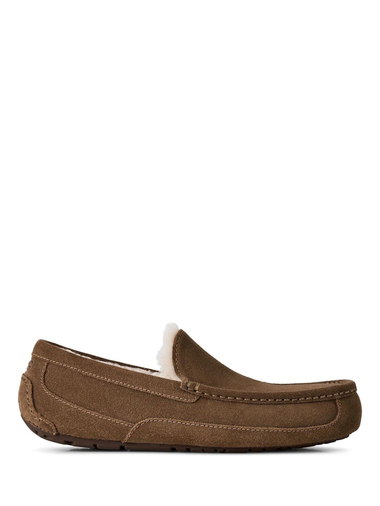 UGG Brown Ascot Slipper - Image 1 of 5 UGG Brown Ascot Slipper - Image 1 of 5