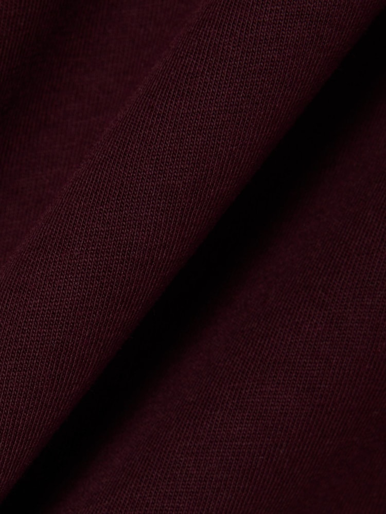 Lacoste Brown Midweight Relaxed Fit Jersey Cotton T-Shirt - Image 7 of 7
