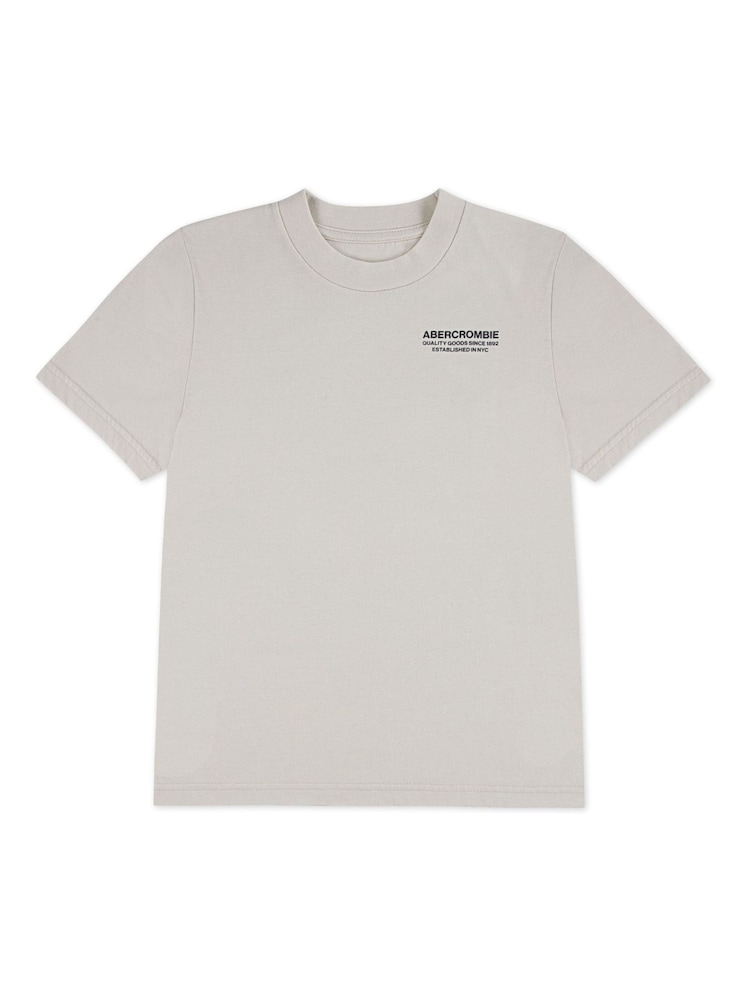 Abercrombie & Fitch Natural Basketball Sports Graphic Short Sleeve T-Shirt - Image 1 of 3