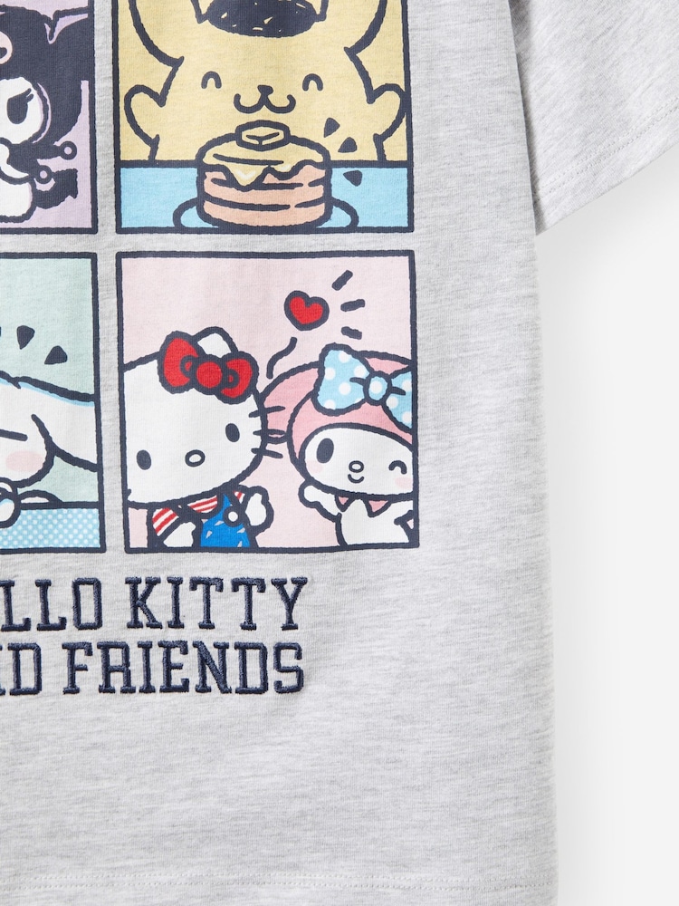 Cotton On Grey Hello Kitty Drop Shoulder Short Sleeve T-Shirt - Image 5 of 5