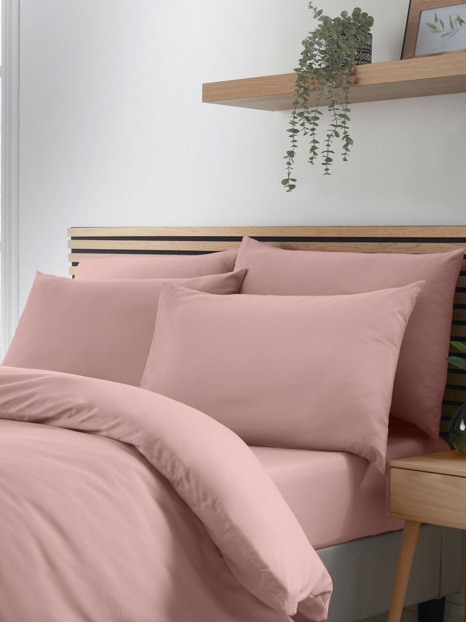 Catherine Lansfield Pink So Soft Non-Iron Standard Pack Of 4 Pillowcases Blush - Blush - Standard - Image 4