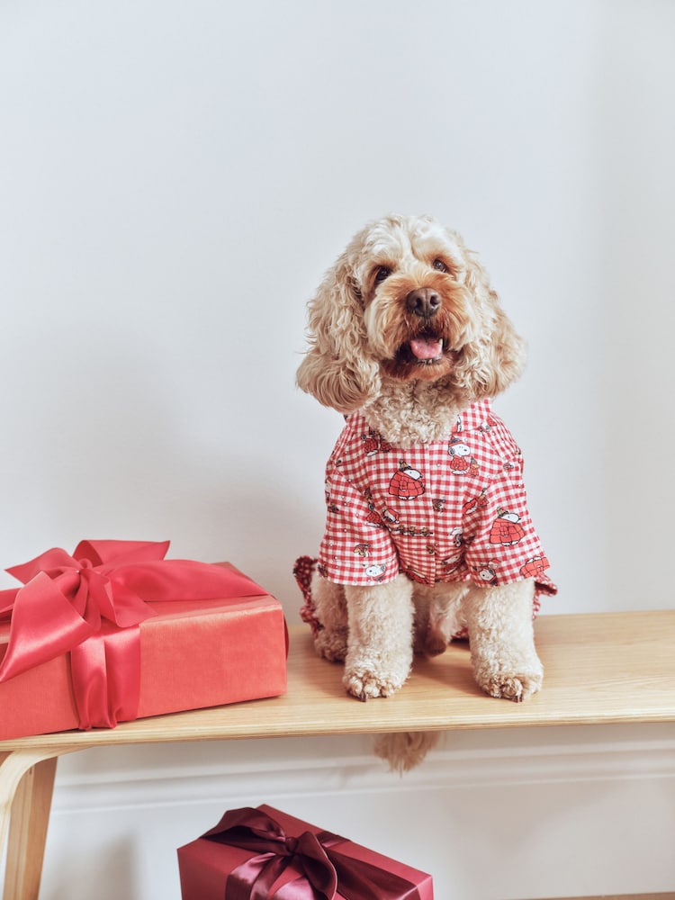 Red Snoopy Matching Family Christmas Pet Pyjamas - Image 1 of 8