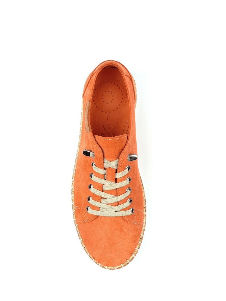 Lunar Orange Maddison II Suede Plimsoll Shoes - Image 5 of 5