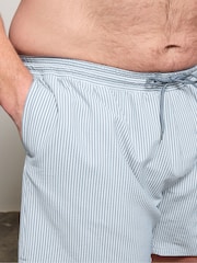 BadRhino Big & Tall Striped Seersucker Swim Shorts - תמונה 4 מתוך 4