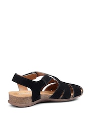 Hotter Black Regular Fit Standard Fit Carpa Touch Fastening Casual Sandals - Image 3 of 4