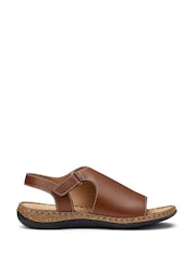 Hotter Brown Wide Fit Mena Touch-Fastening Casual Sandals - Image 1 of 4