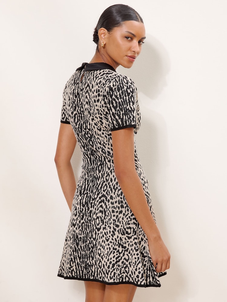 Lipsy Animal Contrast Collar Knitted Mini Dress - Image 5 of 5