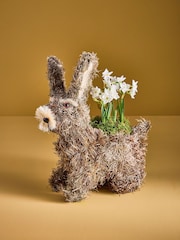 White Narcissi Real Plant in Bunny Planter - Image 1 of 6
