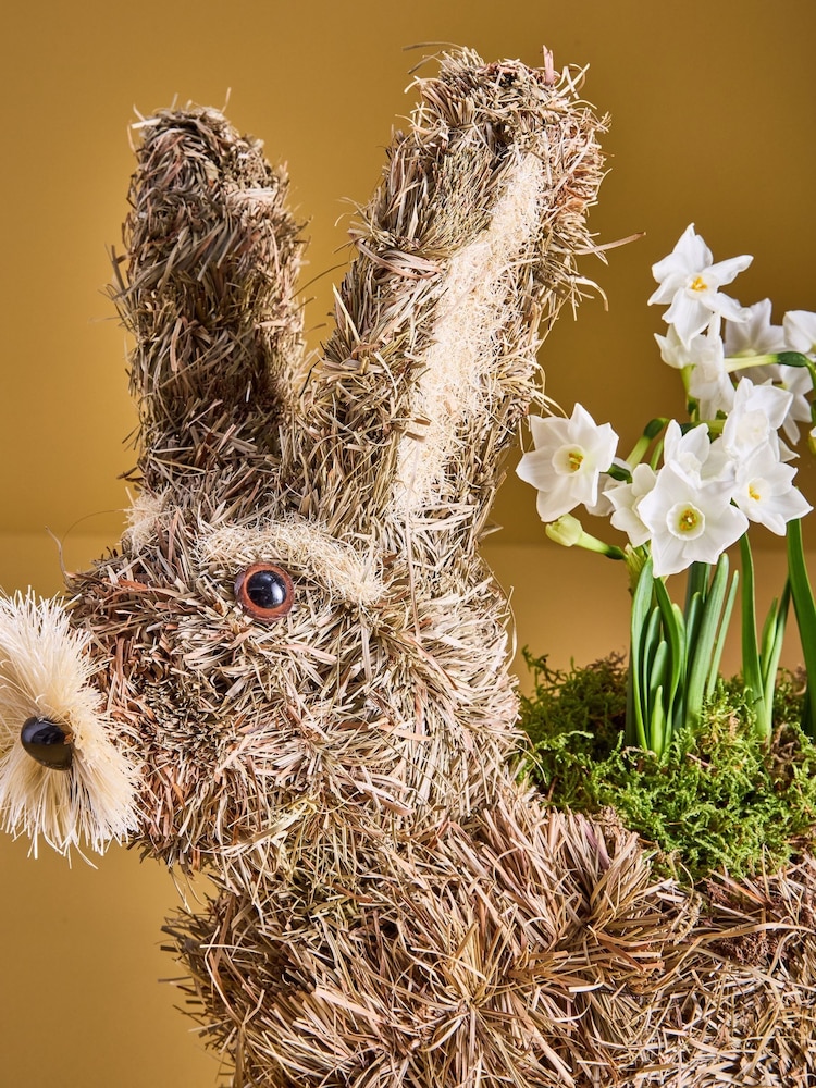 White Narcissi Real Plant in Bunny Planter - Image 2 of 6 White Narcissi Real Plant in Bunny Planter - Image 2 of 6