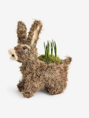 White Narcissi Real Plant in Bunny Planter - Image 3 of 6