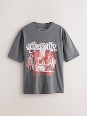 Charcoal Grey Aerosmith Relaxed Fit Band Graphic Print T-Shirt - Image 6 of 9