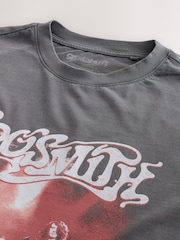 Charcoal Grey Aerosmith Relaxed Fit Band Graphic Print T-Shirt - Image 8 of 9