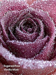 Victoria's Secret Cashmere Fleur 236ml Body Lotion - Image 2 of 3