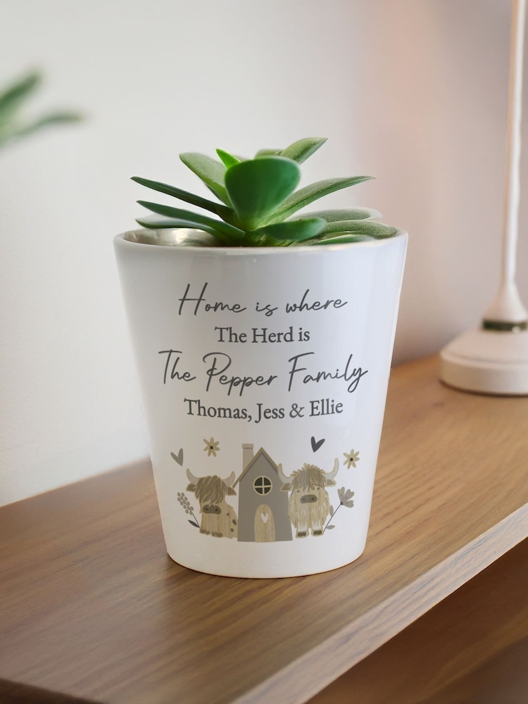 Personalised Highland Cow Plant Pot by PMC - Image 1 of 3