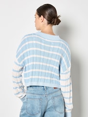 Apricot Blue Contrast Stripe Cropped Jumper - Image 4 of 4