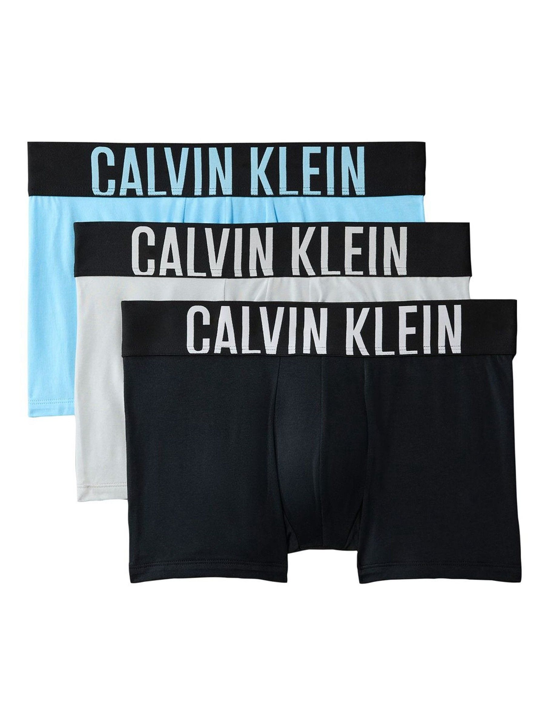Next：日本 ブラック / グレー / ブルー - Calvin Klein Intense Power
