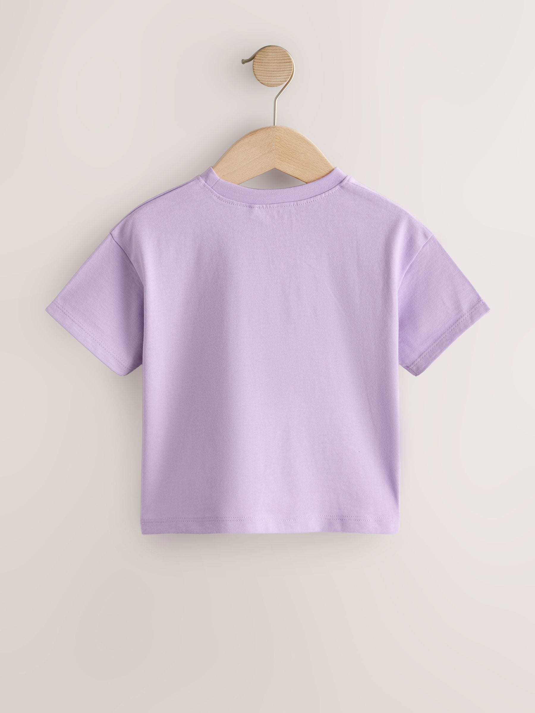 Buy Lilac Purple Smile Slogan T-Shirt (3mths-7yrs) from Next USA