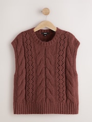 Rust Brown Pointelle Cable Knitted Tank - Image 1 of 3