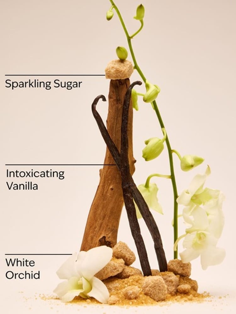Bath & Body Works Warm Vanilla Sugar Body Butter 185g - Image 3 of 3