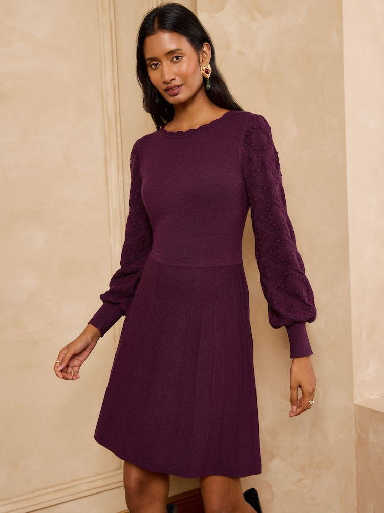 Love & Roses Burgundy Red Petite Boat Neck Scalloped Knitted Mini Dress - Image 1 of 5